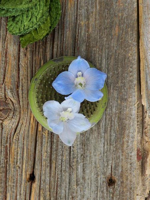 70cm BELLADONNA LIGHT BLUE DELPHINIUM